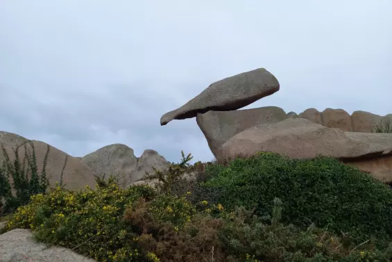 Harmonise ta FL'Âme - Laura Sepieter - guérisseuse de l'âme, du coeur et des corps, accompagnatrice sur votre chemin d'éveil et/ou votre parcours de Flammes Jumelles constellations, guérison des blessures de l'âme, coaching, sonothérapie énergétique